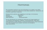 Hormonas - ::WEB DEL PROFESOR::webdelprofesor.ula.ve/.../rjaimez/org/DOCENCIA/Ecofisiologia/Hormo… · (e) La curvatura es el resultado de la influencia de la hormona auxina. Su