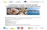 Consequences of oyster mortality episodes on …...2008 : Mortality of oyster juveniles (40-100%) Period: April-May Pathogen: Virus Herpes Os-HV1 µ var → Impact on produc5on Thau