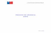 PROCESO DE URGENCIA (UEH) - Araucanía Sur · 2017-11-28 · Consultoría para la Estandarización de Procesos de Redes Asistenciales MINSAL Página 2 de 52 Información del documento