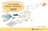 ArcGIS Geo Suite · ジャパン データコンテンツ ArcGIS Geo Suite 道路網 2020』（以下、「本製品」という）は、DRM（デジタル道 路地図データベース）などをもとに住友電気工業株式会社が加工した拡張版全国デジタル道路地図データベース（ADF）を