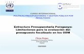 Estructura Presupuestaria Paraguaya: Limitaciones para la ...cemaf.edu.py/wp-content/uploads/2018/04/65-Estructura-Presupuest… · decreto n° 12.924/2001 “por el cual se establecen