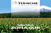 híbridos ZONA SUR · 2017-07-26 · Población: 50.000 plantas/ha a cosecha Potencial de rendimiento: 40.000 choclos/ha de primera *Para siembras a 75 cm entre hilera Recomendaciones