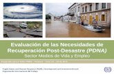 Evaluación de las Necesidades de Recuperación Post ... · Recuperación Post-Desastre (PDNA) Sector Medios de Vida y Empleo Fragile States and Disaster Response (FSDR) / Development