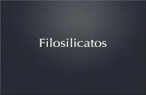 Filosilicatos - Technical University of Valenciapersonales.upv.es/psoriano/pdf/geo/G09_Filosilicatos.pdfFilosilicatos • Sobre esta capa de tetraedros con carga negativa se coloca