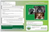 DIRIGIDO A JORNADA SOBRE GESTIÓN DE ANIMALES ... · - Profesionales que trabajan con perros Asociación Española de Veterinarios Municipales Colegio O˜cial de Veterinarios de Navarra