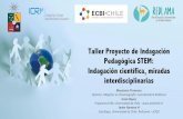 Taller Proyecto de Indagación Pedagógica STEM: Indagación ... · Taller Proyecto de Indagación Pedagógica STEM: Indagación científica, miradas interdisciplinarias Macarena