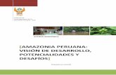 AMAZONIA PERUANA: VISIÓN DE DESARROLLO, …infobosques.com/portal/wp-content/uploads/2016/06/13.pdf · 2017-10-26 · El enfoque del “desarrollo de” prevalece sobre el enfoque