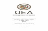 ORGANIZAÇÃO DOS ESTADOS AMERICANOS MISSÃO DE …scm.oas.org/pdfs/2019/CP40397PRELATORIOFINALMOE... · Em ambas as ocasiões, a Missão observou o voto dos brasileiros no exterior
