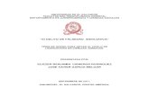 “El DELITO DE FALSEDAD IDEOLOGICA”ri.ues.edu.sv/id/eprint/16777/1/50107666.pdf · 2018-06-22 · 1 universidad de el salvador facultad multidisciplinaria oriental departamento