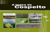 Terras do Miño - A Lagoa de Cospeitoterrasdomino.deputacionlugo.org/docs/vive/fichas/15B-A...Galicia, o da lagoa de Cospeito (Cospeito, Lugo) e o da lagoa de Antela (Xinzo de Limia,