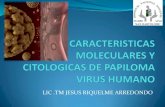 LIC .TM JESUS RIQUELME ARREDONDO · 2018-04-04 · Virus: Definición Partícula Ácido nucleico Capa de proteínas Cápsula capsómeros Parásito celular obligado Pequeño Infeccioso