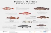 fauna marina fondo 1 check m - Gobierno de CanariasTitle: fauna_marina_fondo_1_check_m Created Date: 20150205132534Z