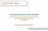 Certificación bajo la norma ISO 9001 - gob.mx · Colegio Nacional de Educación Profesional Técnica Logros alcanzados en 2019 IZTAPALAPA IV PUERTO VALLARTA II JUÁREZ III FRONTERA