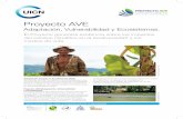 Proyecto AVE - IUCNproyectos de Adaptación basada en Ecosistemas. Esta información permitirá tener un mejor entendimiento de dichas intervenciones en la región y podrá ser visualizada