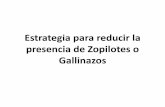Estrategia para reducir la presencia de Zopilotes o Gallinazos€¦ · animales muertos encontrados y enterrados del 7 de agosto al 03 de septiembre del 2012 categoria cantidad perros