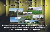 RELATÓRIO DA PAC FINAL - CERMC · 7 CARTA DO PRESIDENTE A Cooperativa de Eletrificação e Desenvolvimento da Região de Mogi das Cruzes - CERMC é uma sociedade cooperativista regida