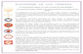 HOLOGRAMA DE LOS CHAKRAS - Todokine · 2017-09-05 · • Significado del Holograma en Kinesiología. Proceso epigénetico de la enfermedad. • Anatomía de los chackras: o Principales