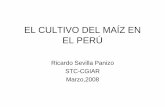 CULTIVO DEL MAiZ - PSI MAiZ.pdfEL CULTIVO DEL MAÍZ EN EL PERÚ Ricardo Sevilla Panizo STC-CGIAR Marzo,2008