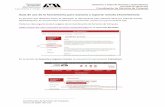 UAM Azcapotzalco - Servicios · 2020-03-21 · Guía de uso de la herramienta para asesoría y soporte remoto (TeamViewer) Lo primero que debemos hacer es descargar la Herramienta