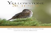 Interview with Historian Paul Schullery Willow–Bird ... · Greater Yellowstone Area Grizzly Bears Returned to Threatened Status Grizzly bears in the lower 48 states were originally