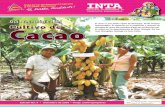 Nº 05 - octubre 2009 Guía Tecnológica delinfocafes.com/portal/wp-content/uploads/2016/12/Guia-CACAO-2010… · 4 Guía Tecnológica del Cultivo de Cacao Contenido 1. Información