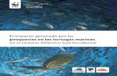 El impacto generado por las pesquerías en las …...Tortugas Marinas en el Atlántico Sud Occidental (ASO) a la urgente necesidad de evaluar el impacto de las pesquerías sobre las