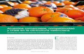 Acuerdos comerciales, competitividad y crisis en la citricultura … · 2019-08-25 · Acuerdos comerciales, competitividad y crisis en la citricultura valenciana. mercamadrid +2.700.000