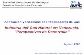 Industria del Gas Natural en Venezuela, “Perspectivas de ... · Sociedad Venezolana de Geólogos. Colegio de Ingenieros de Venezuela • Comportamiento del Mercado de Gas Natural.