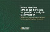 Norma Mexicana NMX-R-025-SCFI-2015 en Igualdad Laboral y No Discriminación€¦ · para Prevenir y Eliminar la Discriminación Folio de participación asignado por el Consejo Interinstitucional