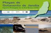 Playas de Sotavento de Jandía - Fuerteventuragestion.cabildofuer.es/fuerteventurabiosfera/assets/monografia_lic.pdf · Ilustraciones | Illustrations | Die Abbildung: B. Lanzarote.