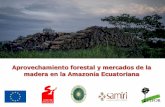 Aprovechamiento forestal y mercados de la madera …...Entender sus implicaciones para la gobernanza forestal Énfasis en el aprovechamiento y mercados de la madera en la Amazonía