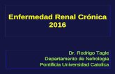 Enfermedad Renal Crónica 2016 - Sociedad Chilena …...Definición de Enfermedad Renal Crónica Presencia de un Filtrado Glomerular inferior a 60 mL/min/1,73 m2 Lesión o daño Renal: