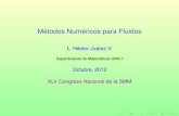 Métodos Numéricos para Fluidossgpwe.izt.uam.mx/files/users/uami/hect/archivos_para... · 2013-09-08 · I Series de Fourier. I Métodos de Grupos de Lie. I Problema práctico: Para