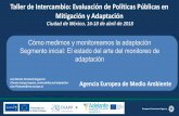 Taller de Intercambio: Evaluación de Políticas Públicas en ...euroclimaplus.org/images/Noticias/FIIAPP/Sesion5-EuropeaAgency.pdf · Priority 3: Key vulnerable sectors Action 4.