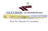 GLÚCIDOS: su metabolismo · 2020-03-18 · GLÚCIDOS: su digestión BOCA: AMILASA SALIVAL (PTIALINA) INTESTINO DELGADO: A. DIGESTIÓN LUMINAL: AMILASA PANCREATICA; B. DIGESTIÓN