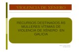 VIOLENCIA DE XÉNERO - Lugo · VIOLENCIA DE XÉNERO A Lei orgánica 1/2004, do 28 e decembro, de medidas de protección integral contra a violencia de xénero, é na actualidade o