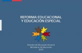 REFORMA EDUCACIONAL Y EDUCACIÓN ESPECIALliceorepublicadebrasil.cl/doc/e.inclusiva.pdf · Reforma Educacional Inclusiva e Integral promueve: • Derecho a una educación de calidad,