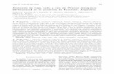 Anatomía de hoja, tallo y raíz de Phenax laevigatus ...lillo.org.ar/revis/lilloa/2010-47-1-2/v47n1n2a04.pdf · Arias. 2010. “Anatomía de hoja, tallo y raíz de Phenax laevigatus