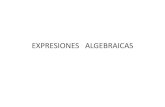 EXPRESIONES ALGEBRAICAS€¦ · Monomios, polinomios y otras expresiones algebraicas Las siguientes expresiones algebraicas son monomios: 2)' —5x2y Monomio es el producto indicado