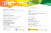 SEMANA FORESTAL 2013 · SEMANA FORESTAL 2013 10:00 – 11:00 · Sala de Grados Gestión y conservación de árboles trasmochos. Proyecto VERTREE Organiza: Oscar Schwendtner. Director
