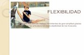 FLEXIBILIDAD - Gobierno de Canarias...Descripción: ejercicios de estiramientos con la ayuda de un compañero, que es el que empuja lentamente para conseguir posiciones que la persona