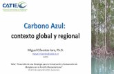 Carbono Azul: contexto global y regional · 2020-04-12 · Carbono Azul: contexto global y regional Miguel Cifuentes Jara, Ph.D. miguel.cifuentes@catie.ac.cr CATIE Taller: “Desarrollo