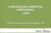 CORPORACIÓN AMBIENTAL EMPRESARIAL CAEM · 2015-04-07 · de un programa para promover las actividades voluntarias de mitigación y compensación corporativas e institucionales. •