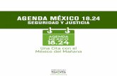 SEGURIDAD Y JUSTICIAmexicosos.org/descargas/sala_de_prensa/agenda... · 1. Diseño de un nuevo modelo de procuración de justicia en México 29 2. Delincuencia organizada, secuestros,