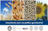 Lineamientos para una política agroindustrialsembrandonoticias.com/wp-content/uploads/2019/08/...INTRODUCCIÓN La economía argentina cuenta con : •Vastos recursos naturales y ventajas