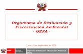 Organismo de Evaluación y Fiscalización Ambiental - OEFA · MINISTERIO DEL AMBIENTE. –1. Organismo de Evaluación y Fiscalización Ambiental. Ley N°29325: • Artículo 1°-
