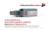 Sistemas de Calderas Diseñados por Cleaver Brookscalderasdelnorte.com.mx/wp-content/uploads/2020/05/... · Generadores de Vapor para Recuperación de Calor y Calderas de Calor Residual