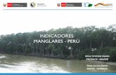 INDICADORES MANGLARES - PERÚcpps.dyndns.info/cpps-docs-web/planaccion/docs2018/Marzo...Manglares de San Pedro de Vice Piura (300 has) (Sitio RAMSAR) Área de Conservación Ambiental
