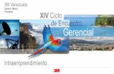 Daniel E. Blanco XIV Ciclo de Encuentro Gerencial · Strategic XIV Ciclo de Encuentro Gerencial 3M Venezuela 3 Daniel E. Blanco Presidente Intraemprendimiento