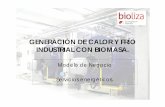 GENERACIÓN DE CALOR Y FRÍO INDUSTRIAL CON BIOMASA.bioliza.es/wp-content/uploads/BIOMASA-TÉRMICA... · 2016-10-06 · TIPO DE ACTUACIONES: • Instalación de caldera de biomasa